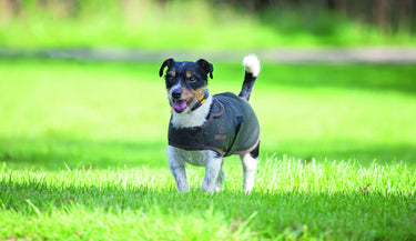 Buy the Digby & Fox Wax Dog Coat | Online for Equine