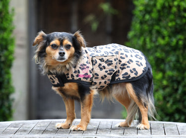 Buy Digby & Fox Leopard Dog Coat | Online for Equine