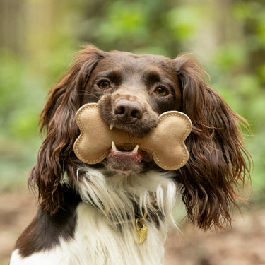 Buy Digby & Fox Leather Bone Toy | Online for Equine