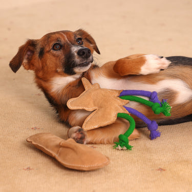 Buy Digby & Fox Leather Unicorn Toy | Online for Equine