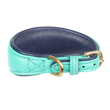 Digby & Fox Teal Padded Leather Greyhound Collar