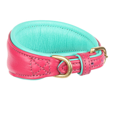 Buy Digby & Fox Padded Greyhound Collar | Online for Equine