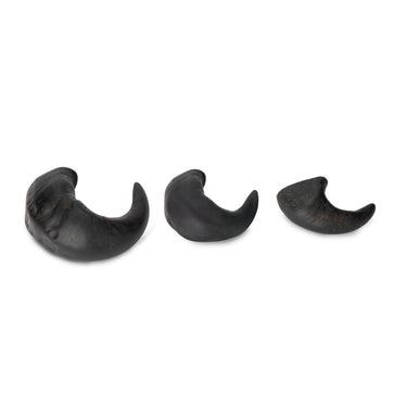 Buy Digby & Fox Buffalo Horns | Online for Equine