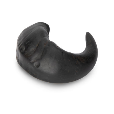 Buy Digby & Fox Buffalo Horns | Online for Equine
