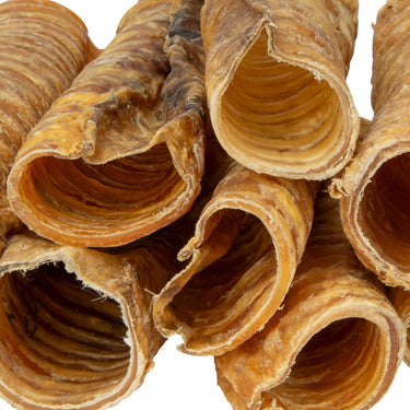 Buy Digby & Fox Trachea | Online for Equine