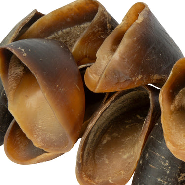 Buy Digby & Fox Buffalo Hoof | Online for Equine