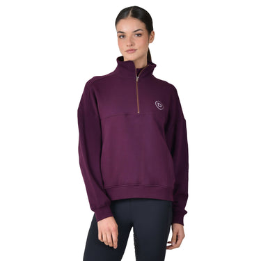 Dublin 1/4 Zip Fleece Pullover Purple Violet
