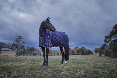Weatherbeeta Comfitec Essential Turnout Combo 220G Navy/ Burgundy