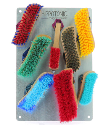 Plaque Hippotonic Magnet Brush-