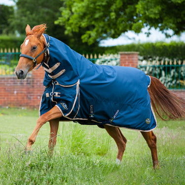 Buy Gallop Trojan 100g Combo Turnout Rug| Online for Equine