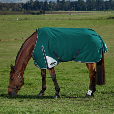 Weatherbeeta Comfitec Plus Dynamic Turnout 100G Forest Green/ Navy