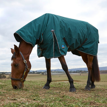 Weatherbeeta Comfitec Classic Turnout Combo 220G