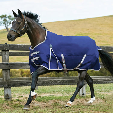 Buy the WeatherBeeta ComFiTec Essential 0g Standard Neck Turnout Rug | Online for Equine