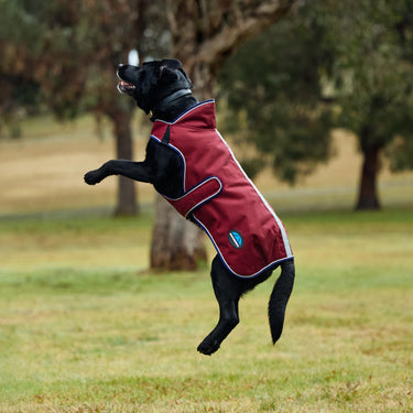 Weatherbeeta Comfitec Premier Deluxe Waterproof Dog Coat Burgundy/ Navy