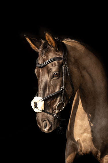 ProPresicce Pelle Grackle Leather Bridle by Hy Equestrian| Online For Equine