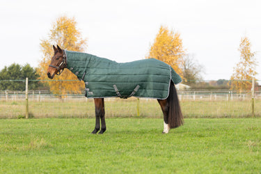 StormX Empra 300 Combi Stable Rug