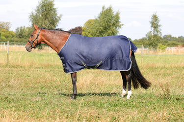 StormX Empra 100 Turnout Rug