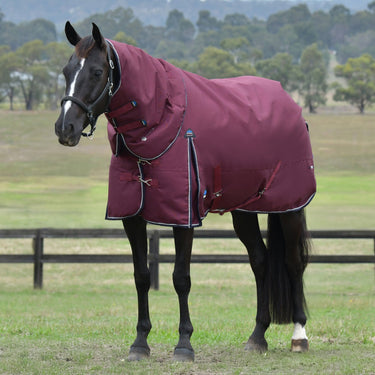 Weatherbeeta Comfitec Essential Turnout Detach-A-Neck 220G Burgundy/ Navy| Online For Equine