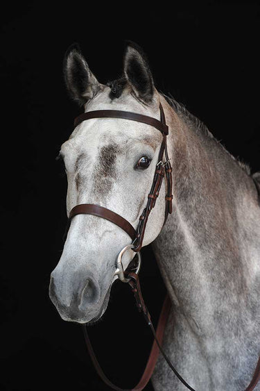 Buy the Collegiate Hunt Cavesson Bridle IV | Online for Equine