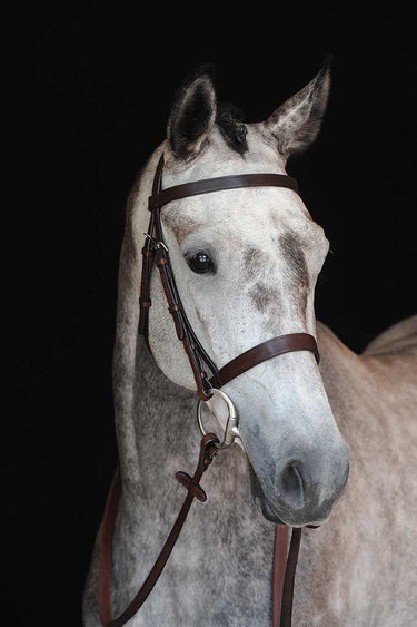 Buy the Collegiate Hunt Cavesson Bridle IV | Online for Equine