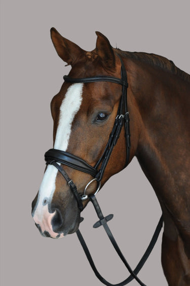 Collegiate Mono Crown Padded Raised Flash Bridle