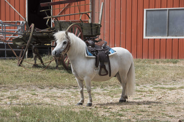 Westride Quilted Navajo Saddle Pad