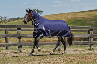 Buy WeatherBeeta ComFiTec Essential 50g Lightweight Combo Neck Turnout Rug| Online for Equine