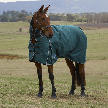 Weatherbeeta Comfitec Classic Turnout Combo 50G