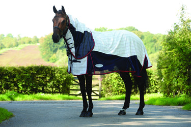 Buy WeatherBeeta Breeze With Surcingle IV Combo Neck Summer Sheet | Online for Equine