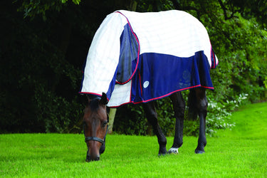 Buy WeatherBeeta Breeze With Surcingle IV Combo Neck Summer Sheet | Online for Equine