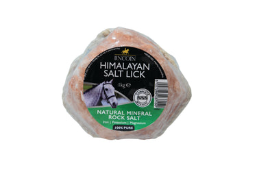 Lincoln Himalayan Salt Lick