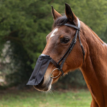 Hy Equestrian Nose Shield