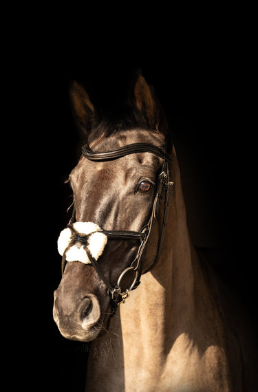 ProPresicce Pelle Grackle Leather Bridle by Hy Equestrian| Online For Equine