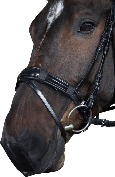 Buy Horse Guard Nose Filter Net | Online for Equine