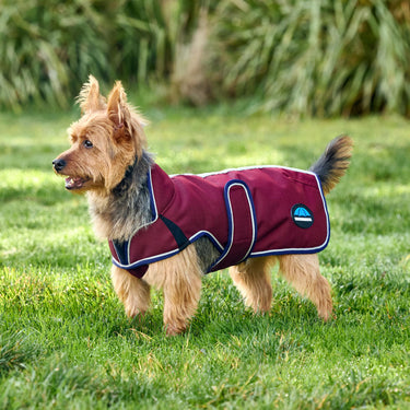 Weatherbeeta Comfitec Premier Deluxe Waterproof Dog Coat Burgundy/ Navy