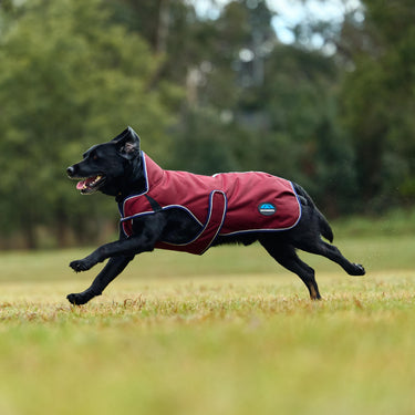 Weatherbeeta Comfitec Premier Deluxe Waterproof Dog Coat Burgundy/ Navy