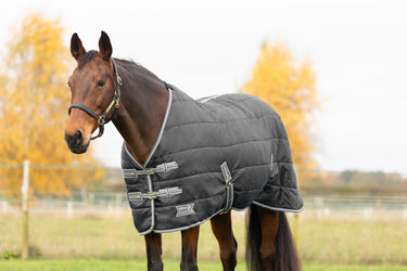 StormX Empra 200 Stable Rug