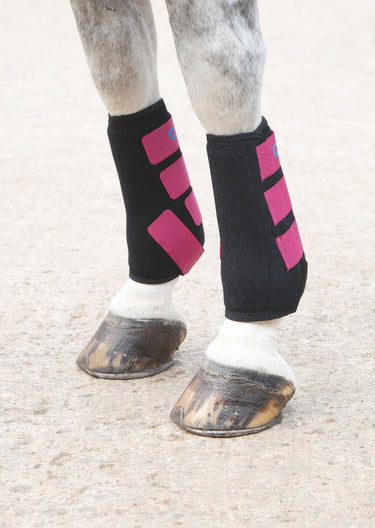 Buy Shires ARMA Coloured Breathable Sports Boots | Online for Equine