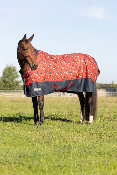 StormX Original 100 Turnout Rug
