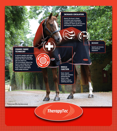 Buy WeatherBeeta ComFiTec Premier With Therapy-Tec Detach-A-Neck Lite Plus| Online for Equine