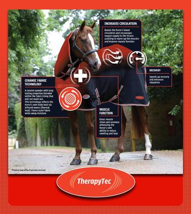 Buy WeatherBeeta ComFiTec Premier With Therapy-Tec | Online for Equine
