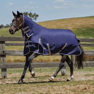 Buy the WeatherBeeta ComFiTec Essential 0g Combo Neck Turnout Rug| Online for Equine
