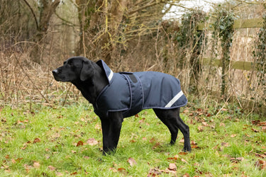 Benji & Flo Waterproof Dog Coat| Online For Equine