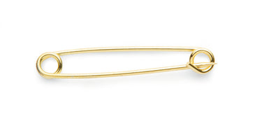 Buy Shires Plain Gold Plated Stock Pin| Online for Equine