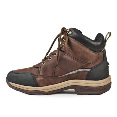 Buy Moretta Eleonora Lace Front Boots| Online for Equine