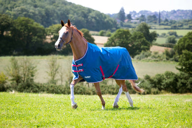 Shires Tempest Original Lite Teal Standard Neck Turnout Rug