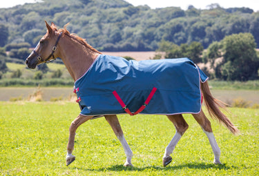 Shires Tempest Original Lite Teal Standard Neck Turnout Rug