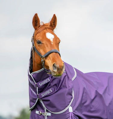 Shires Plum Highlander Original 100g Turnout Rug Neck Cover