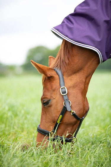 Shires Plum Highlander Original 100g Turnout Rug
