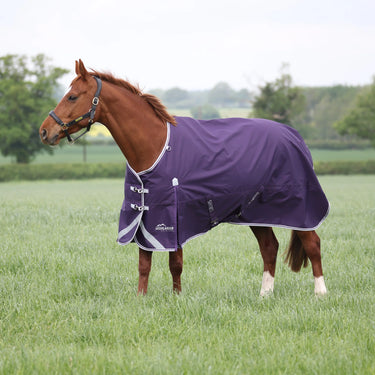 Shires Plum Highlander Original 100g Turnout Rug